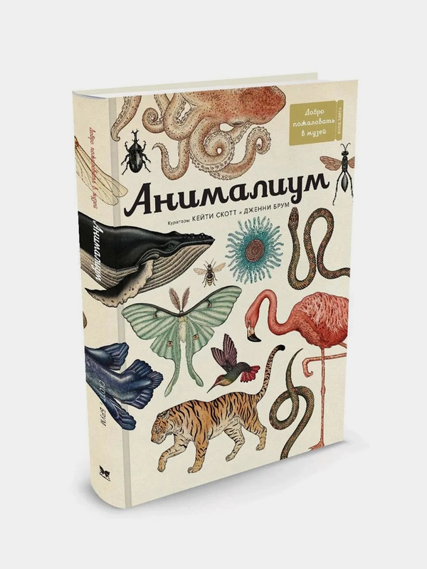 Анималиум, Дженни Брум