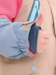 Кремовый куртка детская для девочки зимняя с капюшоном Pelican