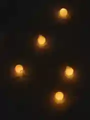 Желтый гирлянда "Праздничные огни", LED, 50 лампочек, 5 м