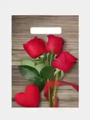 Алый подарочные пакеты