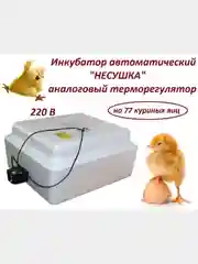 Инкубатор автоматический "Несушка" на 77 яиц, 220 В, аналоговый терморегулятор (72)