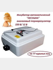 Инкубатор автоматический "Несушка" на 77 яиц, аналоговый терморегулятор