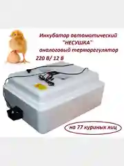 Инкубатор автоматический "Несушка" на 77 яиц, аналоговый терморегулятор