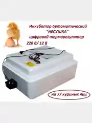 Инкубатор автоматический "Несушка", на 77 яиц, 220 В/12 В, цифровой терморегулятор