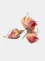 Мелкие бутоны розы/сухоцветы/эпоксидная смола/свечи/мыло/соль/емкость 125мл