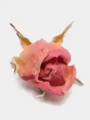Мелкие бутоны розы/сухоцветы/эпоксидная смола/свечи/мыло/соль/емкость 125мл