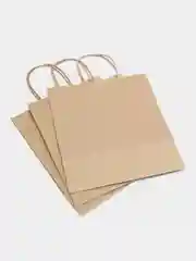 Пакет бумажный с кручеными ручками / Крафтовый пакет, 22x12x25 - 3 и 5шт