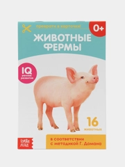 Обучающие карточки, 20 стр. методике Г. Домана. Развитие ребенка 0+
