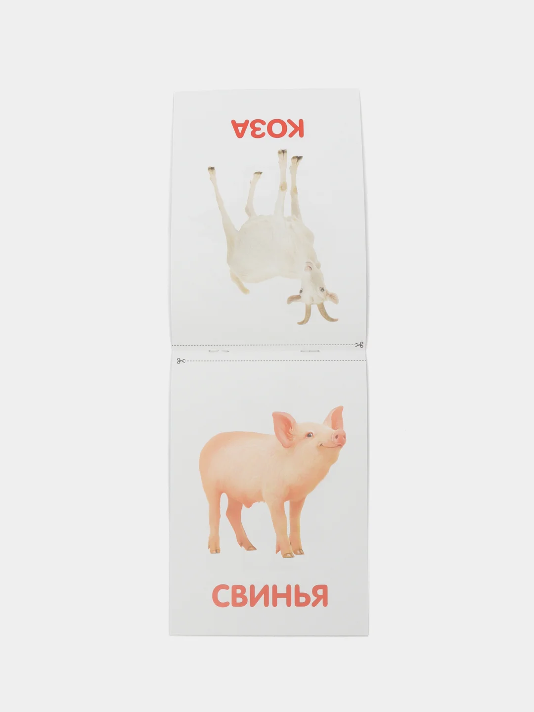 Обучающие карточки, 20 стр. методике Г. Домана. Развитие ребенка 0+