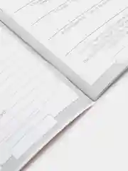 Международный ветеринарный паспорт универсальный "Коты"