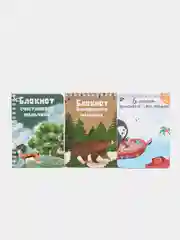 Набор из 3-х блокнотов для мальчика