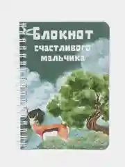 Набор из 3-х блокнотов для мальчика