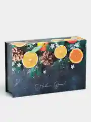 Синий коробка - книга "Новый год", 20 х 12.5 х 5 см