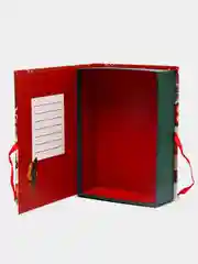 Зеленый коробка - книга "Новый год", 20 х 12.5 х 5 см