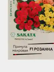 Желтый семена цветов примула, разные сорта