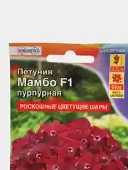Пурпурный семена цветов Петуния, разные сорта