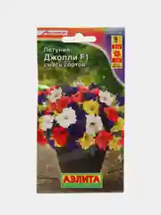 Фиолетовый семена цветов Петуния, разные сорта