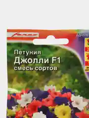 Фиолетовый семена цветов Петуния, разные сорта
