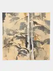 Сосны