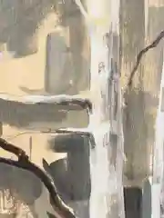 Сосны
