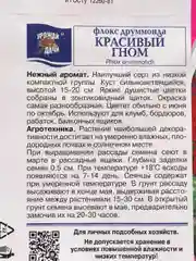 Семена Флокса "Красивый гном", Урожай удачи, 0,2 г
