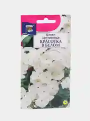 Семена Флокс "Красотка в Белом", Урожай удачи, 0,1 г