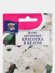 Семена Флокс "Красотка в Белом", Урожай удачи, 0,1 г