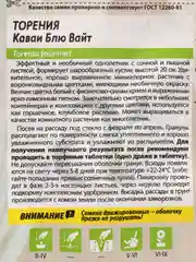 Цветы Торения Каваи Блю Вайт 5 шт / Семена алтая