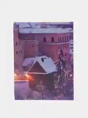 Коричневый фотоальбом 100 фото, 10х15, "Путешествие", твёрдая обложка