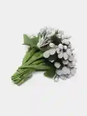 Серебряный тычинки для цветов