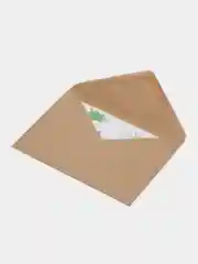 Открытка "Киви"