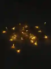 Желтый гирлянда штора занавес светодиодная, 3*3 м и 3*2 м