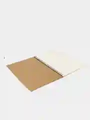 Скетчбук BRAUBERG ART "CLASSIC", слоновая кость, 297 х 420 мм, 30 листов