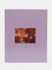 Карамельный фотоальбомы "Цветы", твёрдая обложка, на 200 фото 10 х 15 см, 24 вида