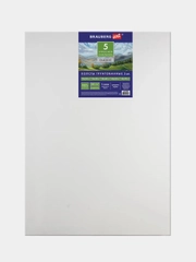 Холсты на подрамнике BRAUBERG ART "CLASSIC", набор 5 шт., грунтованные, 100% хлопок, среднее зерно, 190650