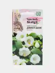 Кобея Джингл Беллс (семена,цветы)