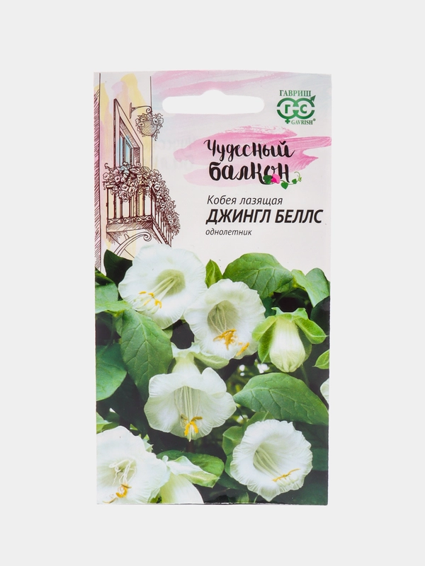 Кобея Джингл Беллс (семена,цветы)