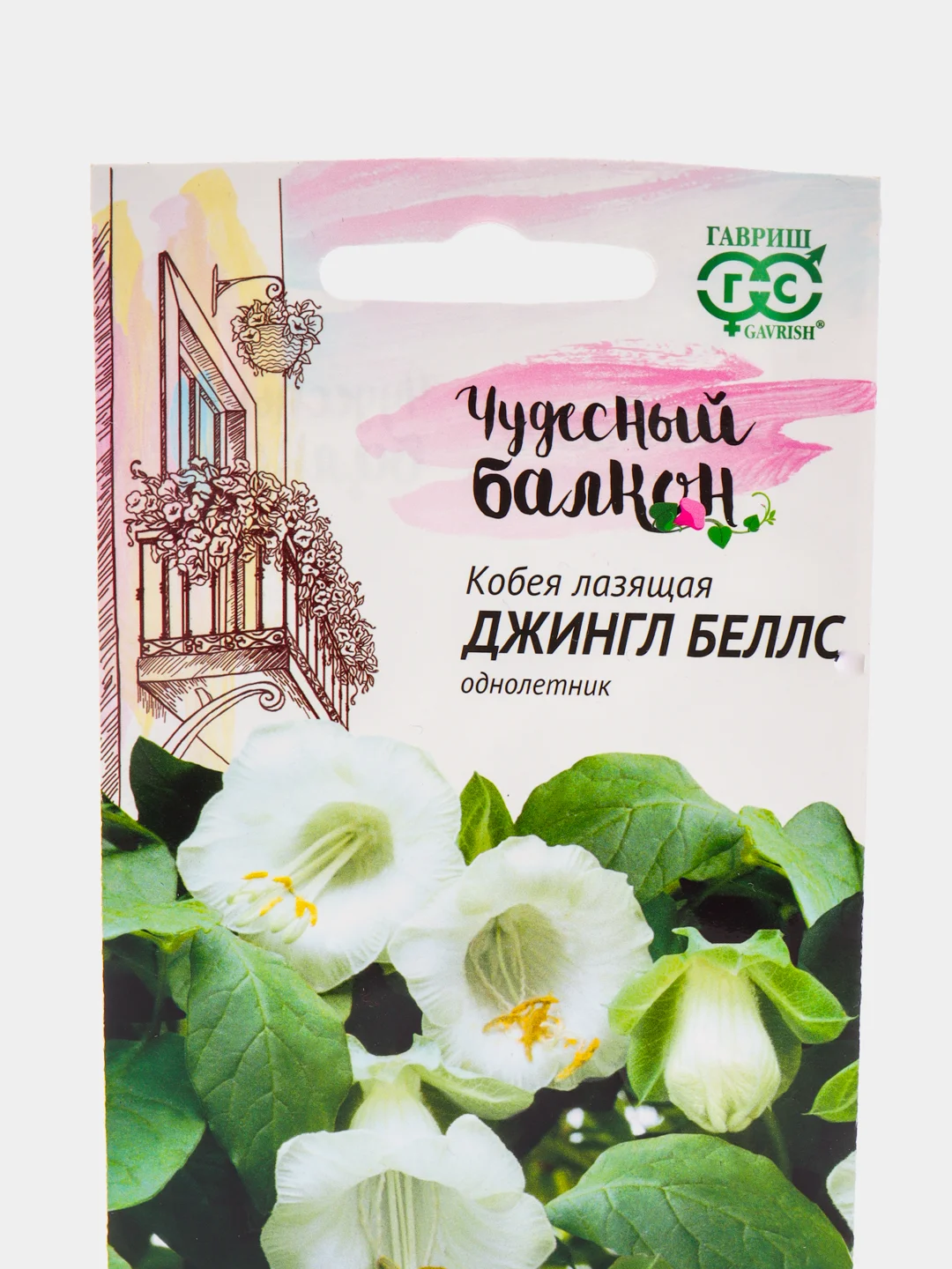 Кобея Джингл Беллс (семена,цветы)