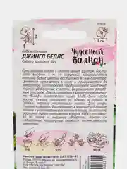 Кобея Джингл Беллс (семена,цветы)