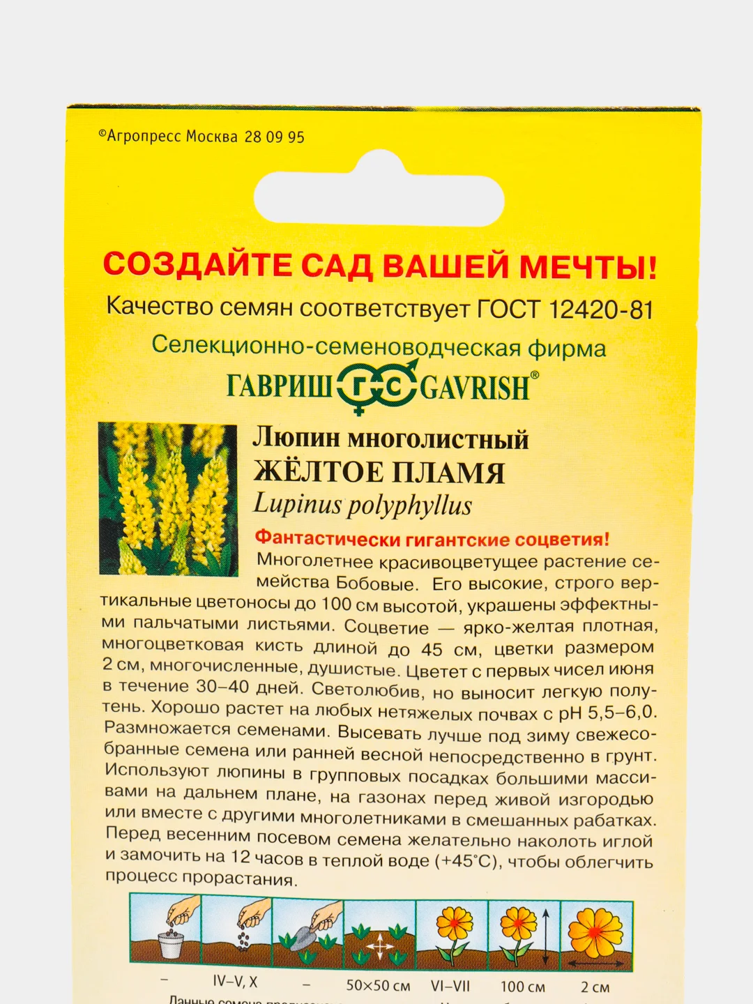 Семена цветы "Люпин Желтое пламя"