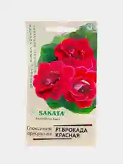 Глоксиния Брокада красная (семена,цветы)