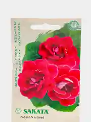 Глоксиния Брокада красная (семена,цветы)