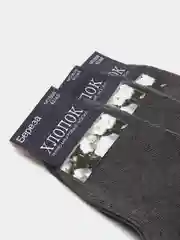 Лазурный мужские термоноски, утепленные, хлопок