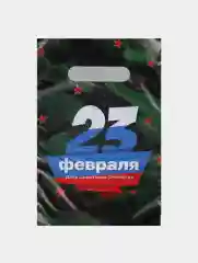 Зелёный хаки пакет подарочный 23 февраля 20х30 см