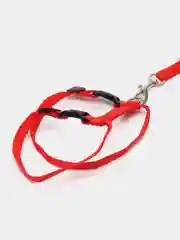Зеленый шлейка для собак и кошек, с поводком, регулируемая