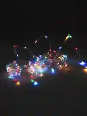 Гирлянда 5 м/ 100 LED ламп/Дюралайт/Разноцветная светодиодная для елки и декора