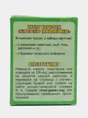 Салатовый карточные игры для детей и взрослых. Игра фанты, фантазеры, найди пару. Мафия. Английский