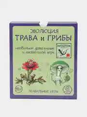 Индиго настольная игра Эволюция/ Развивающая игра/семейная игра/ все дополнения