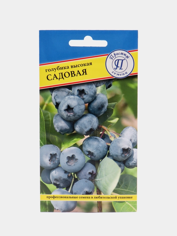 Семена Голубика "Садовая"
