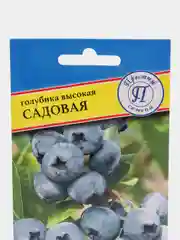 Семена Голубика "Садовая"